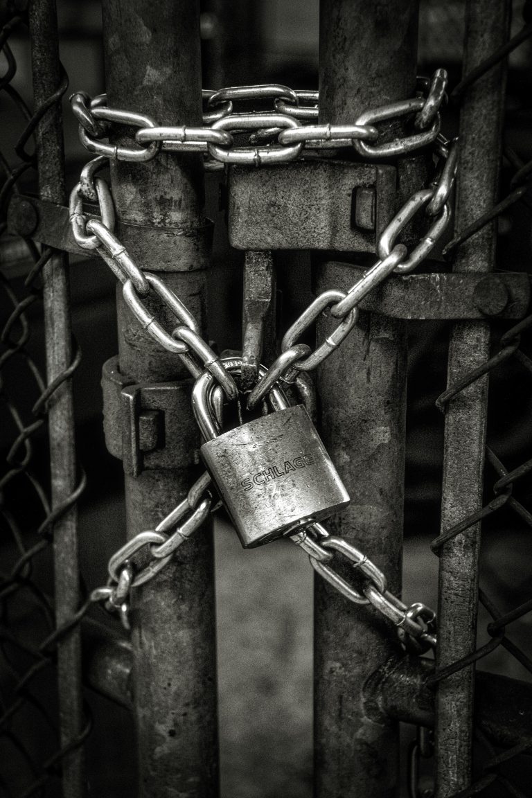 Foto von John Salvino auf Unsplash